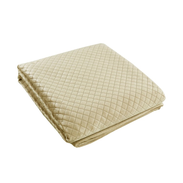 new-beige-velvio.jpg